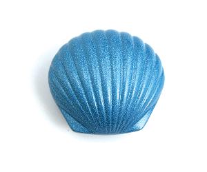 tb keepsake ocean shell